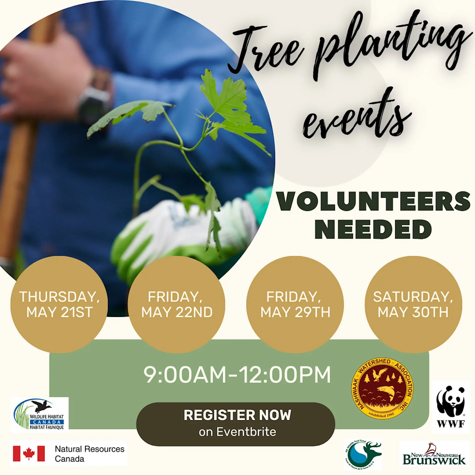 Tree Planting